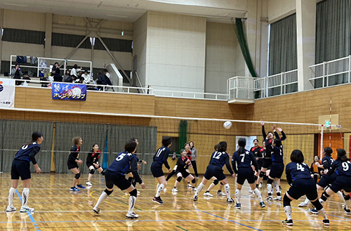 和歌山県女性スポーツ連盟　バレーボール大会等の運営費